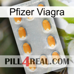 Pfizer Viagra cialis3